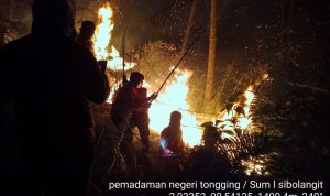 IMG-20240722-WA0002