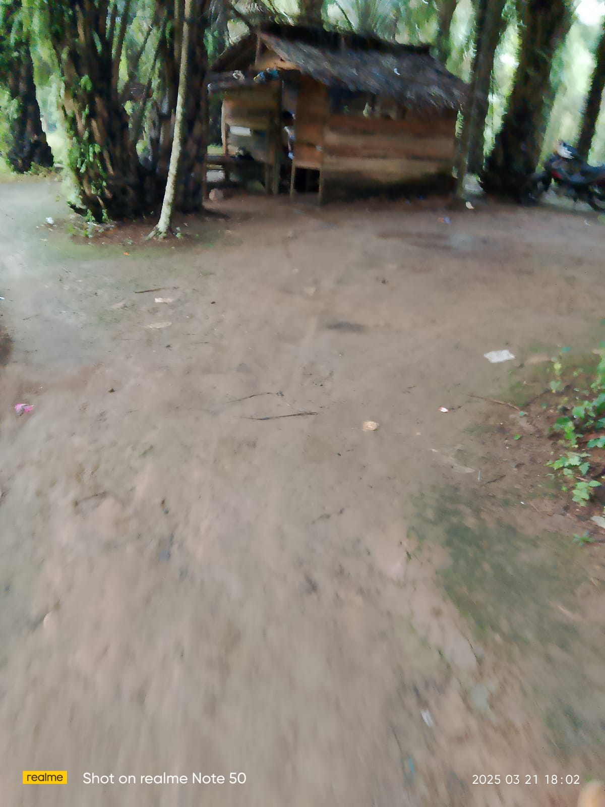 IMG-20250324-WA0062