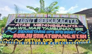 IMG-20250723-WA0590
