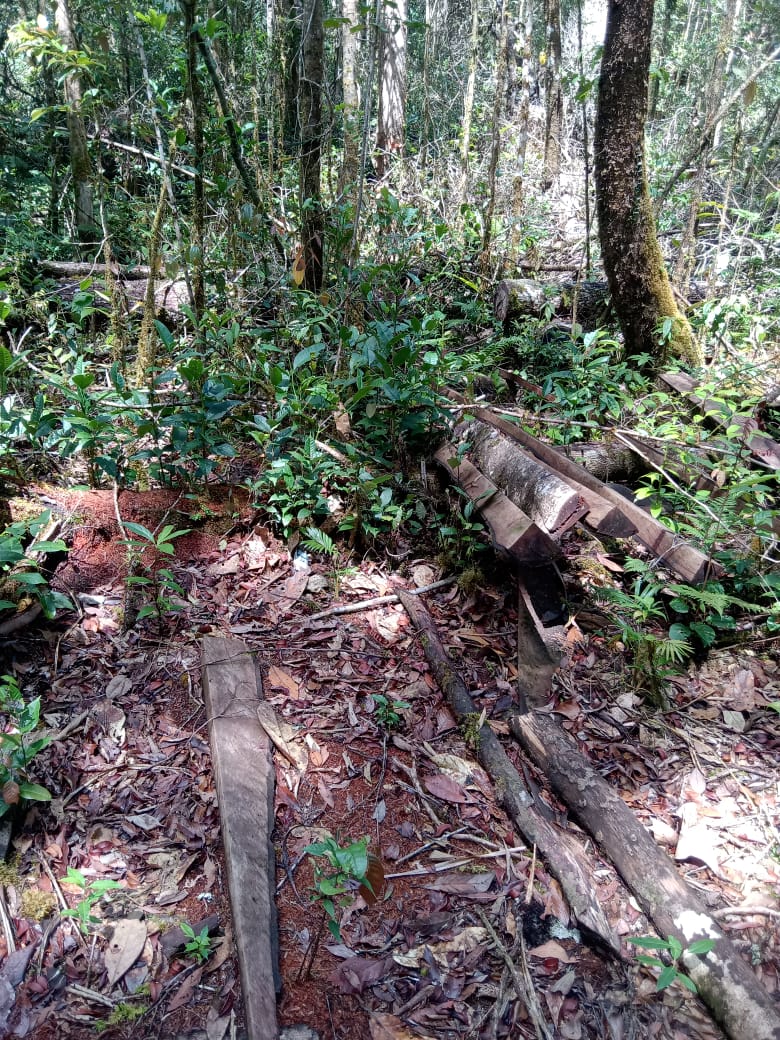 IMG-20250924-WA0121