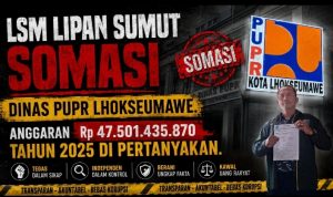 IMG-20260702-WA0036